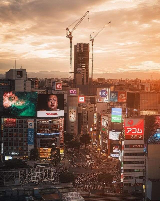 Photo of Shibuya Ward, Tokyo